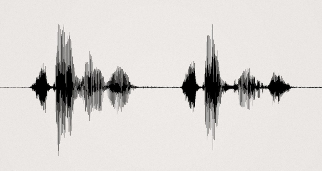 Voiceprint van de stem van Steve Jobs